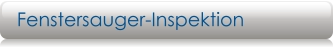 Fenstersauger-Inspektion