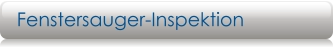 Fenstersauger-Inspektion